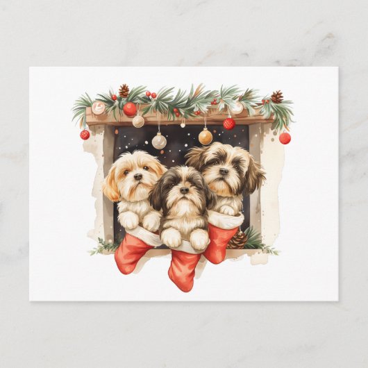 Christmas Shih Tzu Dogs Postkarte (Vorderseite)
