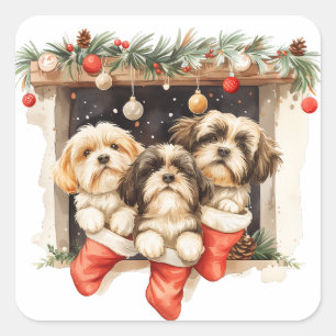 Christmas Shih Tzu Dogs Quadratischer Aufkleber