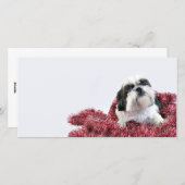 Christmas Shih Tzu Feiertagskarte (Vorne/Hinten)