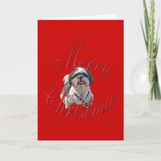 Christmas Shih Tzu Feiertagskarte (Vorderseite)