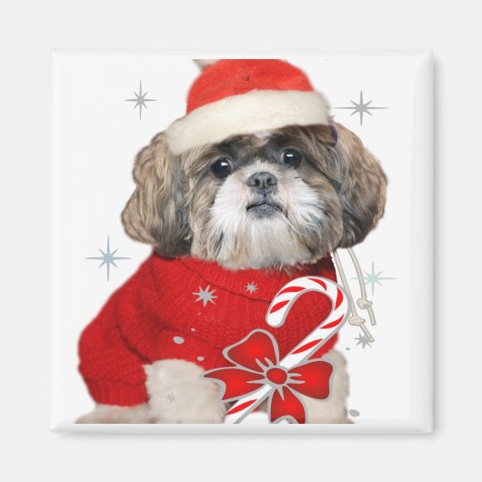 Christmas Shih Tzu Magnets Magnet (Vorne)