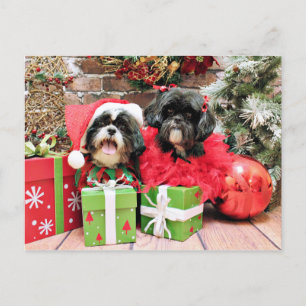 Christmas - Shih Tzu - Riley and Ruffles Feiertagspostkarte
