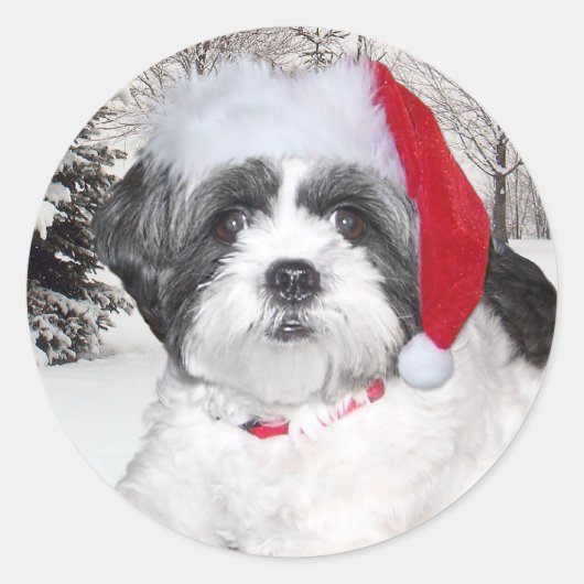 Christmas Shih Tzu Runder Aufkleber (Vorderseite)