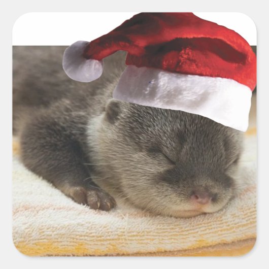 Christmas Sleepy Otter Quadratischer Aufkleber (Vorderseite)