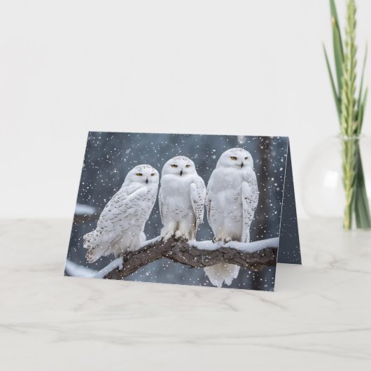 Christmas Snowy Owls Feiertagskarte (Vorderseite)