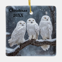 Christmas Snowy Owls