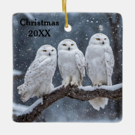 Christmas Snowy Owls Keramikornament