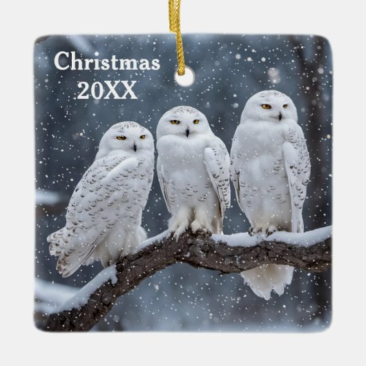 Christmas Snowy Owls Keramikornament (Vorderseite)