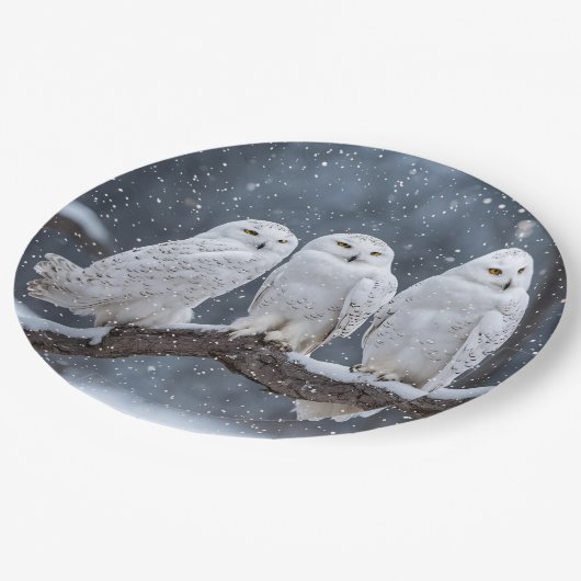 Christmas Snowy Owls Pappteller (Schrägansicht)