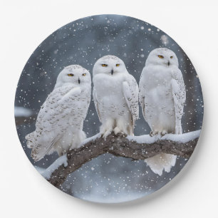 Christmas Snowy Owls Pappteller