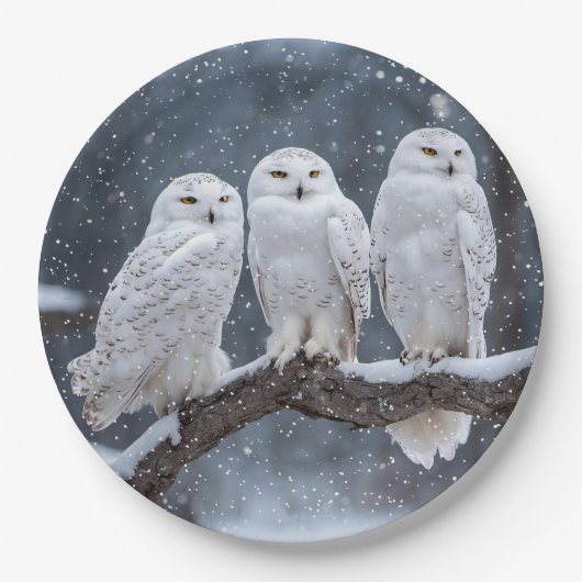 Christmas Snowy Owls Pappteller (Vorderseite)
