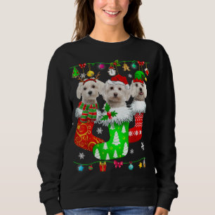 Christmas Socks Pajama Maltese Dog Puppy Lover Sweatshirt