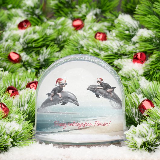 Christmas Sphynx Riding Dolphin Schneekugeln (Weihnachten)