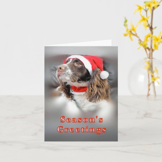 Christmas Springer Spaniel Karte (Gelbe Blume)