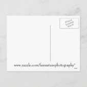 Christmas Squirrel Drinking a Cocktail Feiertagspostkarte (Rückseite)