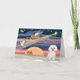 Christmas Star - Bichon Frise 2 Feiertagskarte