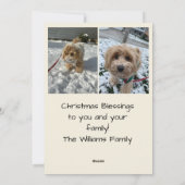 Christmas Stocking Christmas Photo Card Feiertagskarte (Rückseite)