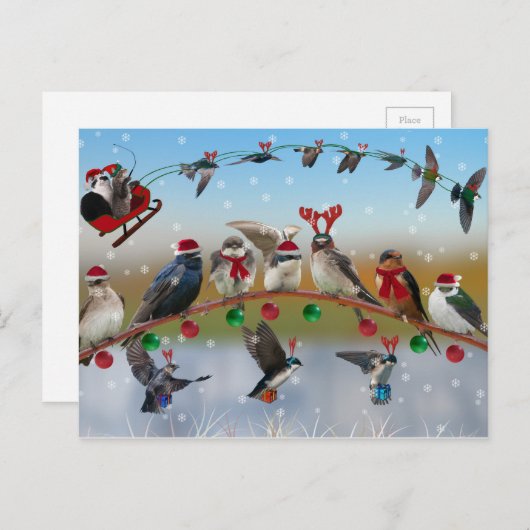 Christmas Swallows Feiertagspostkarte (Vorne/Hinten)