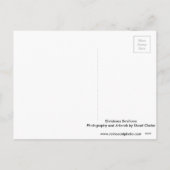 Christmas Swallows Feiertagspostkarte (Rückseite)