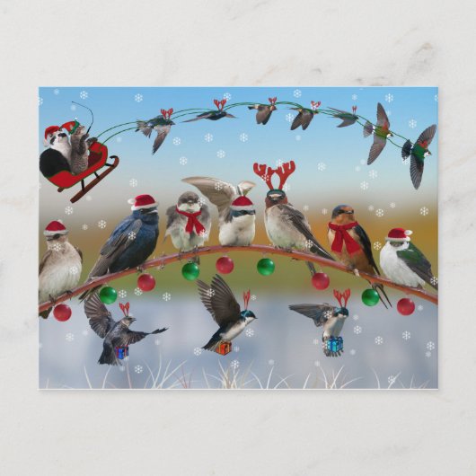 Christmas Swallows Feiertagspostkarte (Vorderseite)