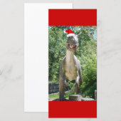 Christmas T-Rex Dinosaur (Vorne/Hinten)