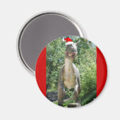 Christmas T-Rex Dinosaur Magnet (Vorderseite/Rückseite)