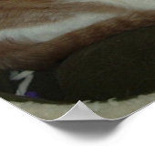 Christmas Tabby Cat Poster (Ecke)