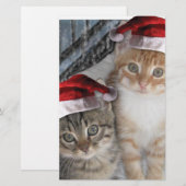 Christmas Tabby Kittens Briefpapier (Vorne/Hinten)