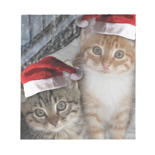 Christmas Tabby Kittens Notizblock (Vorderseite)