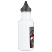 Christmas Tabby Kittens Trinkflasche (Links)