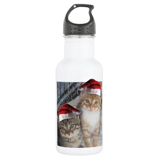 Christmas Tabby Kittens Trinkflasche (Vorderseite)