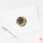 Christmas Tinsel Kitty Stickers (Umschlag)