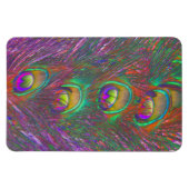 Christmas Tinsel Peacock Feathers Magnet (Horizontal)