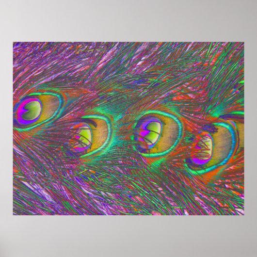 Christmas Tinsel Peacock Feathers Poster (Vorne)
