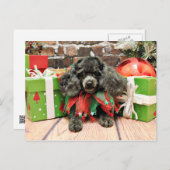 Christmas - Toy Poodle - Annie Feiertagspostkarte (Vorne/Hinten)