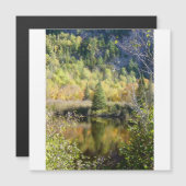 Christmas Tree holiday card, magnetic card Magnetkarte (Vorne/Hinten)