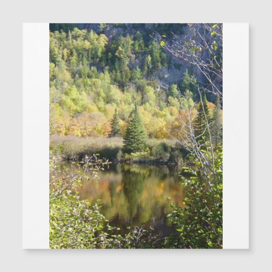 Christmas Tree holiday card, magnetic card Magnetkarte (Vorderseite)