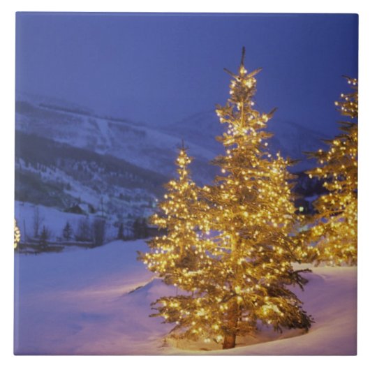 Christmas Trees, Park City, Wastch Mountains, Fliese (Vorderseite)