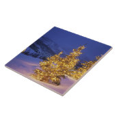 Christmas Trees, Park City, Wastch Mountains, Fliese (Seite)