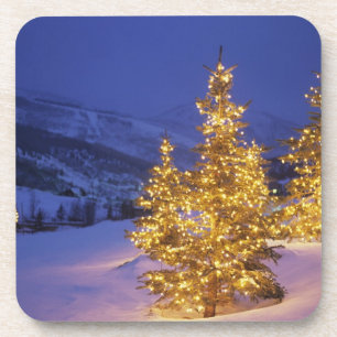 Christmas trees, Park City, Wastch Mountains, Getränkeuntersetzer