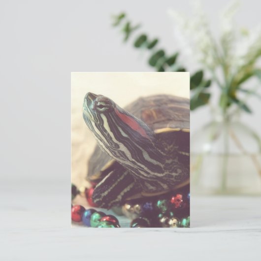 Christmas Turtle Postkarte (Stehend Vorderseite)