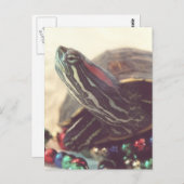 Christmas Turtle Postkarte (Vorne/Hinten)
