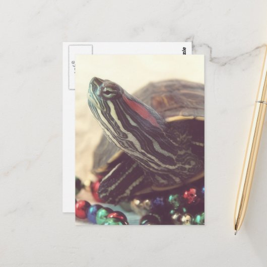 Christmas Turtle Postkarte (Vorderseite/Rückseite Beispiel)