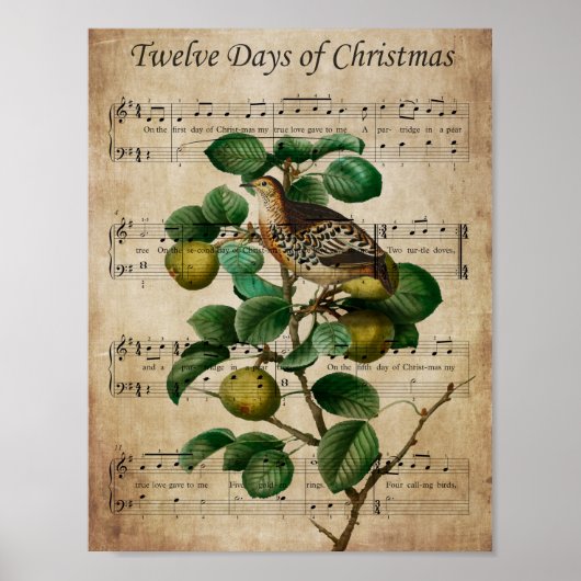 Christmas Wall Art-Partridge in a Pear Tree Poster (Vorne)
