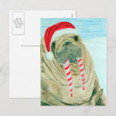 Christmas Walrus Feiertagspostkarte (Vorne/Hinten)