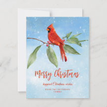 Christmas Watercolor Blue Green Red Kardinal Bird