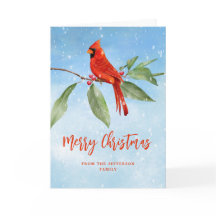 Christmas Watercolor Blue Red Kardinal Bird Foto