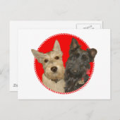 Christmas Wheaten & Black Scott Feiertagspostkarte (Vorne/Hinten)
