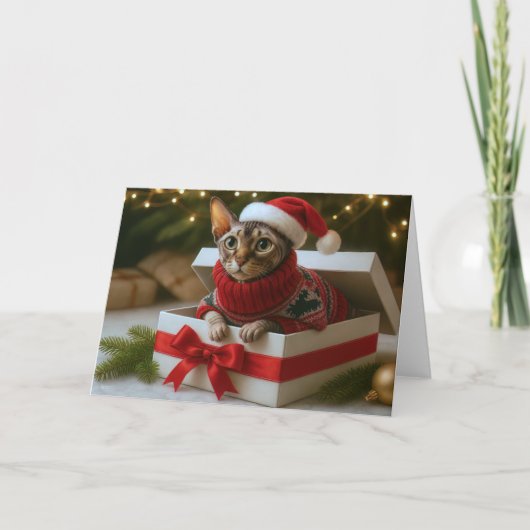 Christmas Whiskers & Wrinkles Card Feiertagskarte (Vorderseite)