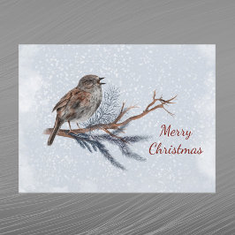 Christmas Wren Pine Boughs Wasserfarbe Feiertagspostkarte